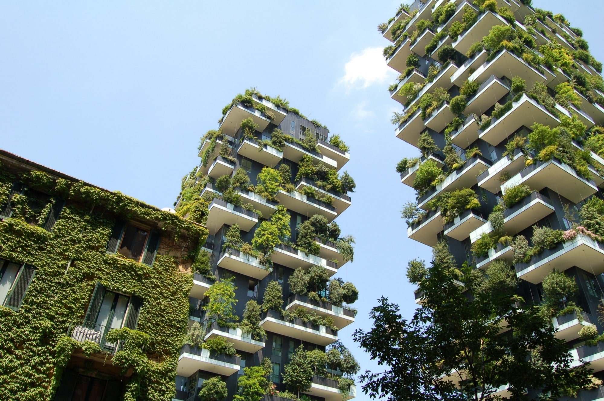 Designing of eco-friendly and sustainable home